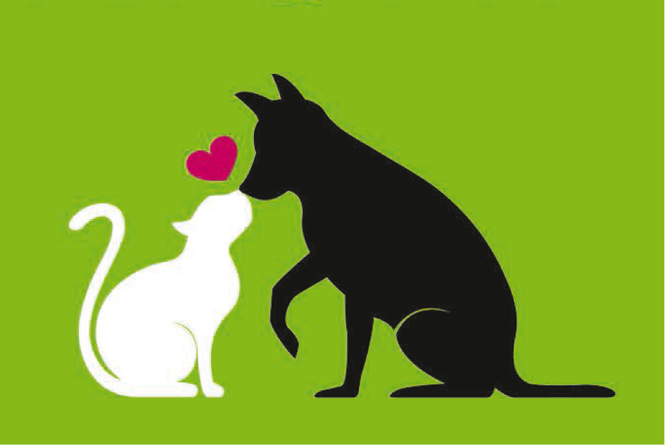 Wie ändere ich meinen Mann? Herzenssache